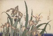 Claude Monet, Iris